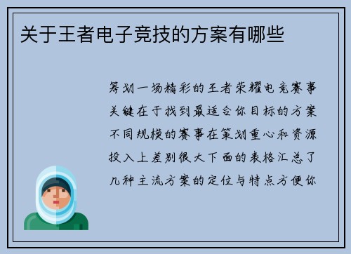 关于王者电子竞技的方案有哪些